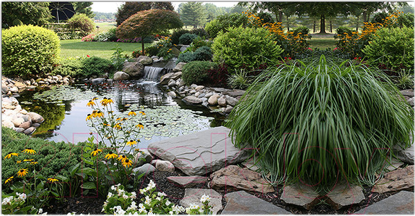 Изображение товара Фотофасад Arthata Пруд / FotoSetka-300-100 (300x156)