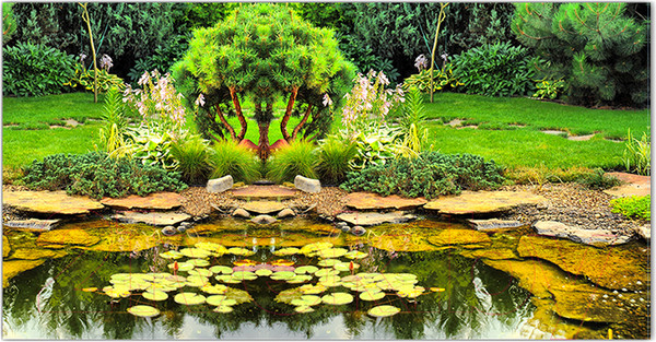 Изображение товара Фотофасад Arthata Пруд / FotoSetka-300-101 (300x156)