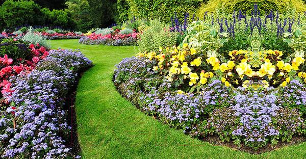 Изображение товара Фотофасад Arthata Цветы / FotoSetka-300-102 (300x156)