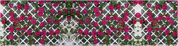 Изображение товара Фотофасад Arthata Плетенье / FotoSetka-600-81 (600x156)