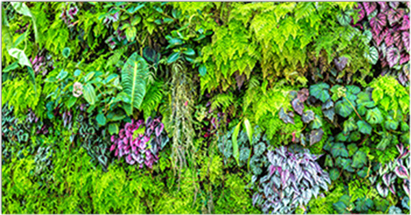 Изображение товара Фотофасад Arthata Листья / FotoSetka-300-13 (300x156)