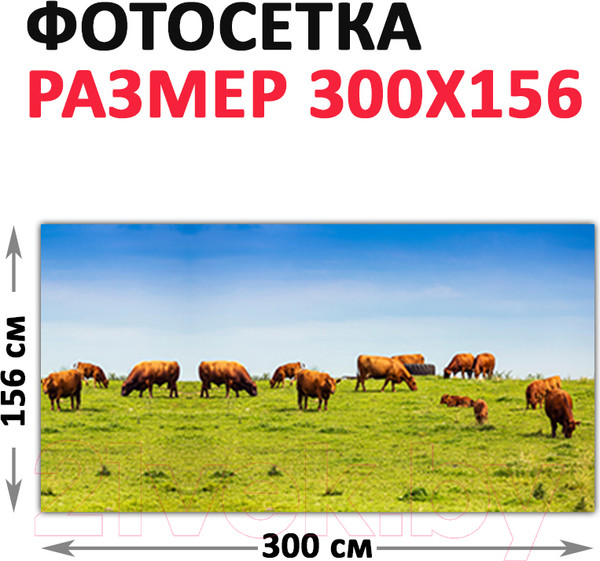 Изображение товара Фотофасад Arthata Поле / FotoSetka-300-21 (300x156)