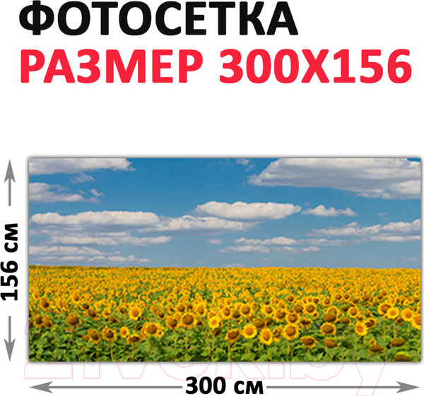 Изображение товара Фотофасад Arthata Небо / FotoSetka-300-37 (300x156)