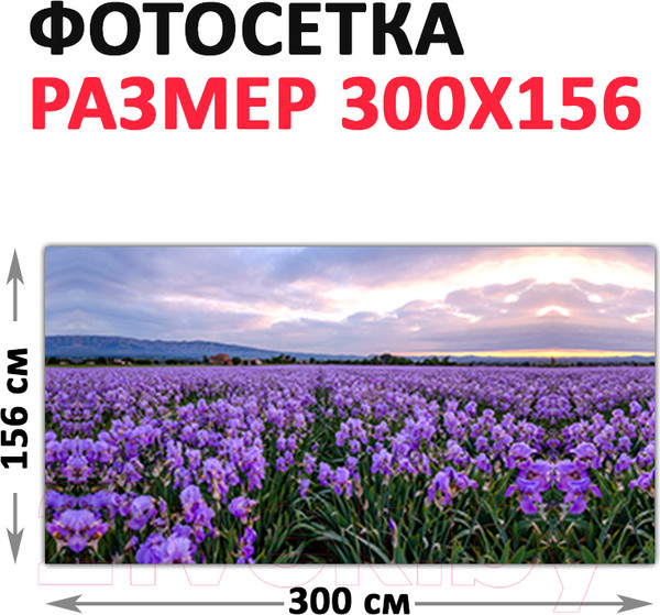 Изображение товара Фотофасад Arthata Лаванда / FotoSetka-300-38 (300x156)