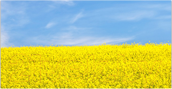 Изображение товара Фотофасад Arthata Луг / FotoSetka-300-41 (300x156)