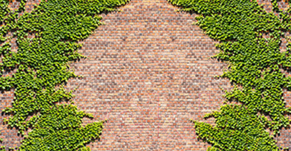 Изображение товара Фотофасад Arthata FotoSetka-300-23 (300x156)