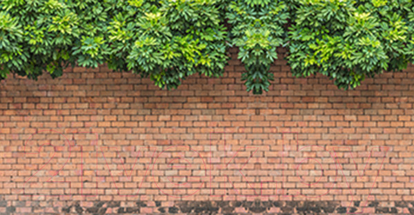 Изображение товара Фотофасад Arthata Виноград / FotoSetka-300-27 (300x156)