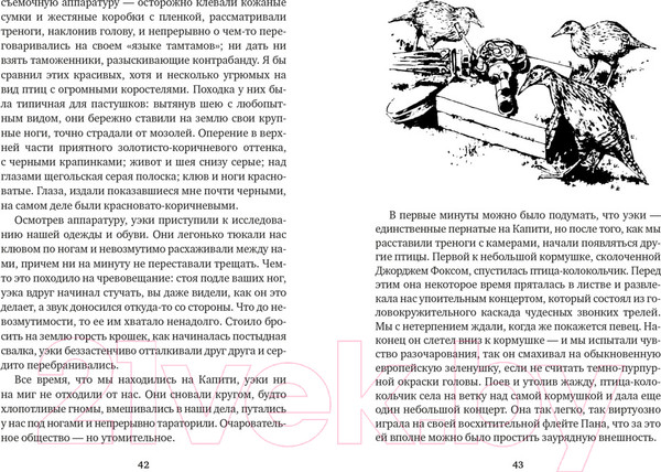 Изображение товара Художественная книга Азбука Путь кенгуренка. Поймайте мне колобуса (Даррелл Дж.)