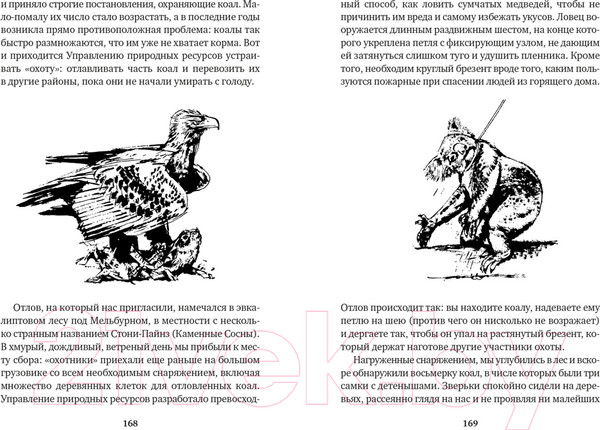 Изображение товара Художественная книга Азбука Путь кенгуренка. Поймайте мне колобуса (Даррелл Дж.)