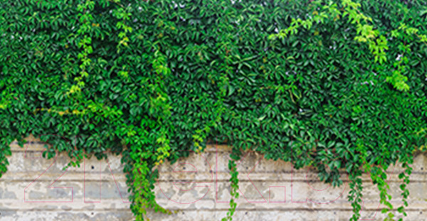 Изображение товара Фотофасад Arthata FotoSetka-300-29 (300x156)