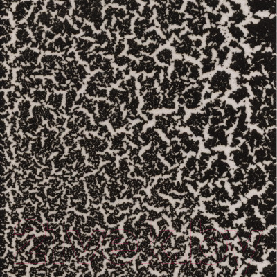 Изображение товара Эмаль Siana Craquelure (2x520мл, черный+прозрачный)