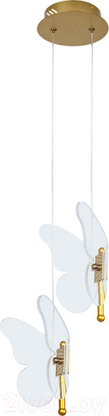 Изображение товара Потолочный светильник Arte Lamp Darcy A2187SP-2GO