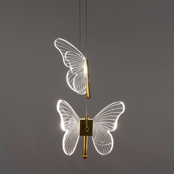Изображение товара Потолочный светильник Arte Lamp Darcy A2187SP-2GO