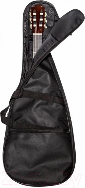 Изображение товара Чехол для гитары Flight FBG-6055