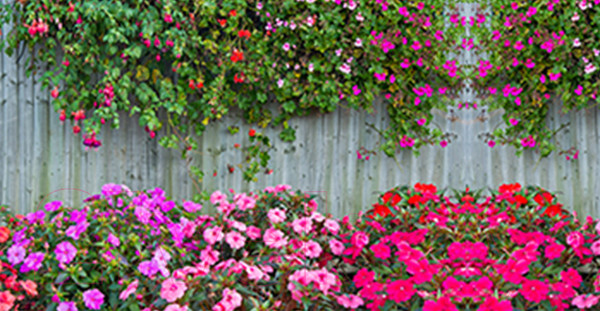 Изображение товара Фотофасад Arthata Живой забор / FotoSetka-300-42 (300x156)