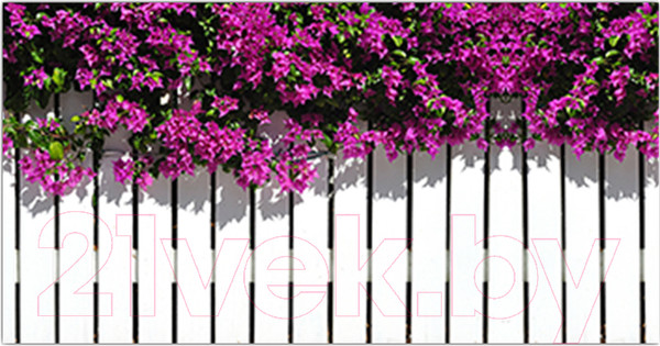 Изображение товара Фотофасад Arthata Розы / FotoSetka-300-44 (300x156)