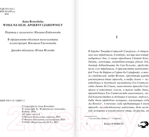 Изображение товара Книга АСТ Вода в решете. Апокриф колдуньи (Бжезинская А.)