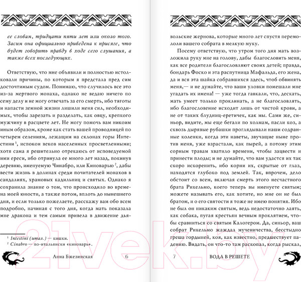 Изображение товара Книга АСТ Вода в решете. Апокриф колдуньи (Бжезинская А.)