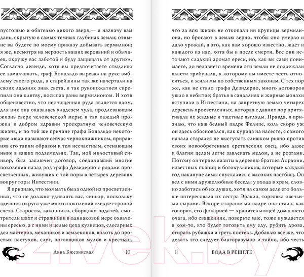 Изображение товара Книга АСТ Вода в решете. Апокриф колдуньи (Бжезинская А.)