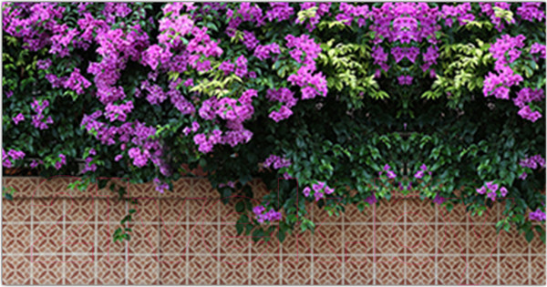 Изображение товара Фотофасад Arthata Цветы / FotoSetka-300-48 (300x156)