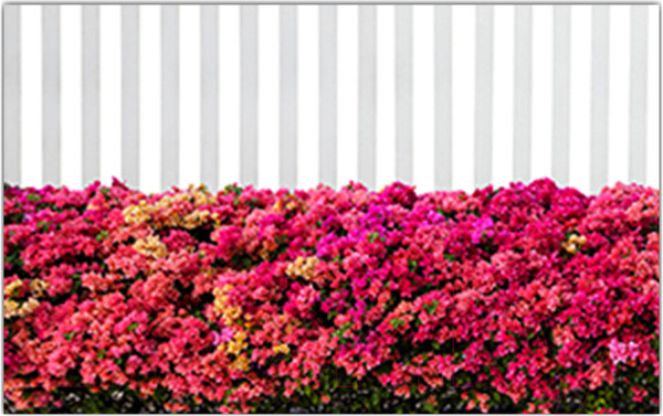 Изображение товара Фотофасад Arthata Цветы / FotoSetka-300-49 (300x156)