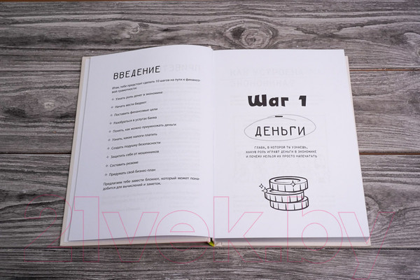 Изображение товара Книга АСТ Деньги: от карманных до своих (Глядешкина В.)