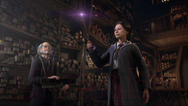 Изображение товара Игра для игровой консоли PlayStation 5 Hogwarts Legacy (EU pack, RU subtitles)
