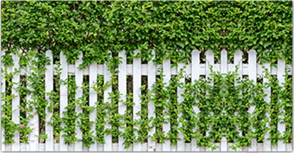 Изображение товара Фотофасад Arthata Штакет / FotoSetka-300-53 (300x156)