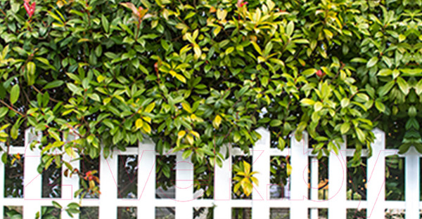 Изображение товара Фотофасад Arthata Зелень / FotoSetka-300-54 (300x156)