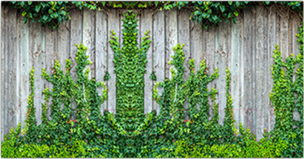 Изображение товара Фотофасад Arthata Плющ / FotoSetka-300-56 (300x156)