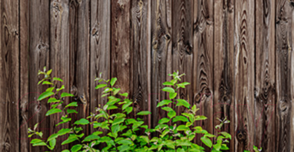 Изображение товара Фотофасад Arthata Дерево / FotoSetka-300-59 (300x156)