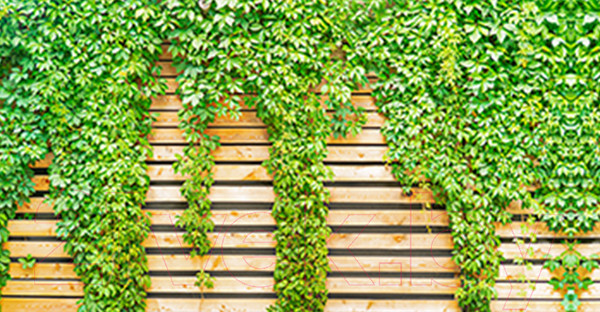 Изображение товара Фотофасад Arthata Зелень / FotoSetka-300-61 (300x156)