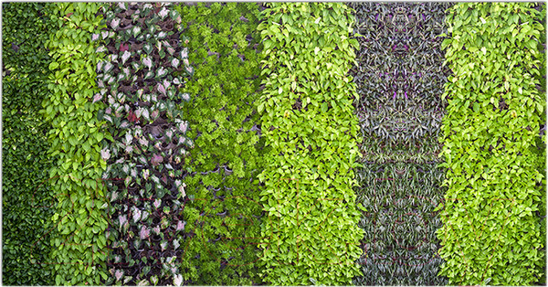 Изображение товара Фотофасад Arthata Листья / FotoSetka-300-64 (300x156)