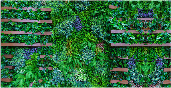 Изображение товара Фотофасад Arthata Листья / FotoSetka-300-67 (300x156)