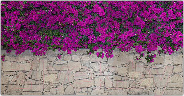 Изображение товара Фотофасад Arthata Цветы / FotoSetka-300-68 (300x156)