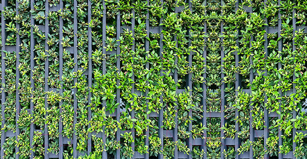 Изображение товара Фотофасад Arthata Зелень / FotoSetka-300-72 (300x156)