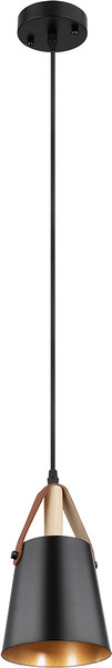 Изображение товара Потолочный светильник Arte Lamp Thomas A7032SP-1BK