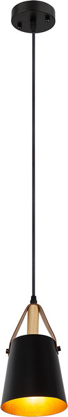Изображение товара Потолочный светильник Arte Lamp Thomas A7032SP-1BK