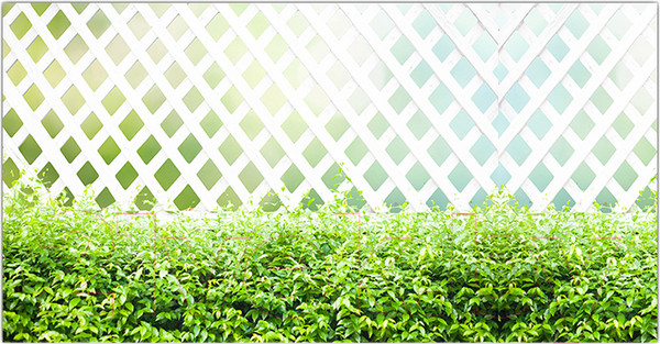 Изображение товара Фотофасад Arthata Плетенье / FotoSetka-300-80 (300x156)