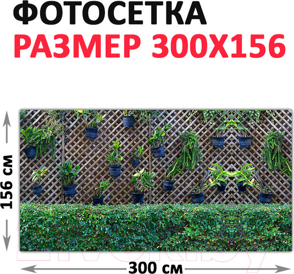 Изображение товара Фотофасад Arthata Кусты / FotoSetka-300-82 (300x156)