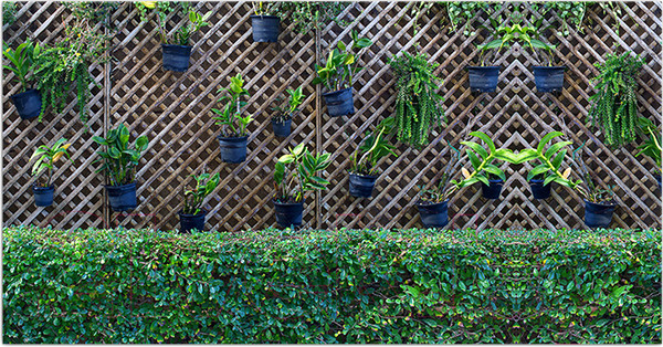 Изображение товара Фотофасад Arthata Кусты / FotoSetka-300-82 (300x156)