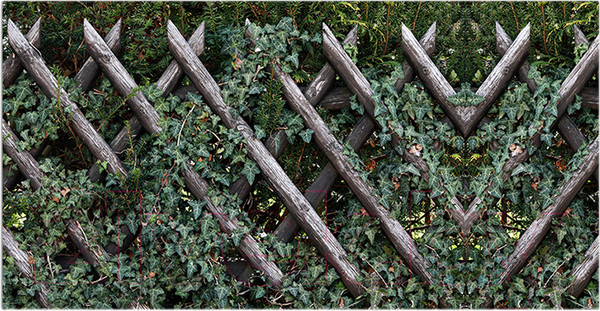 Изображение товара Фотофасад Arthata Плетенье / FotoSetka-300-83 (300x156)