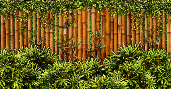 Изображение товара Фотофасад Arthata Бамбук / FotoSetka-300-88 (300x156)