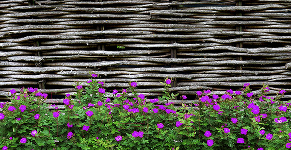 Изображение товара Фотофасад Arthata FotoSetka-300-93 (300x156)