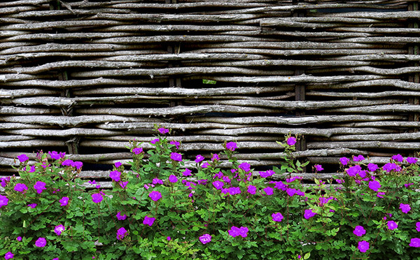 Изображение товара Фотофасад Arthata FotoSetka-250-93 (250x156)