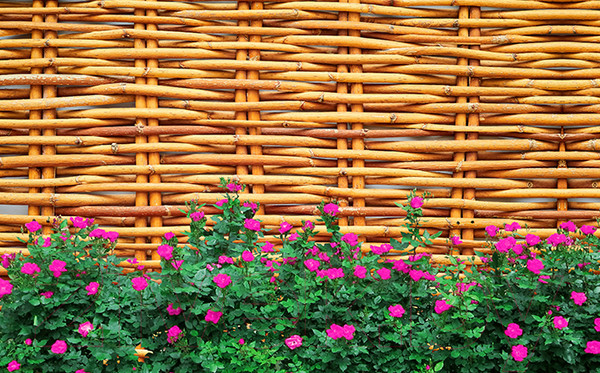 Изображение товара Фотофасад Arthata FotoSetka-250-94 (250x156)