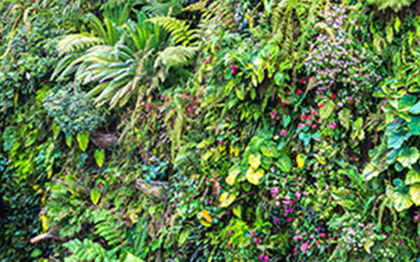 Изображение товара Фотофасад Arthata Зелень / FotoSetka-250-9 (250x156)