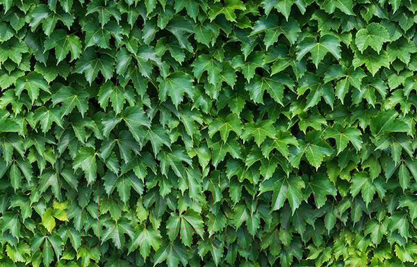 Изображение товара Фотофасад Arthata FotoSetka-100-12 (100x156)