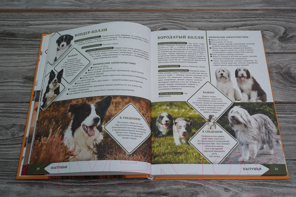 Изображение товара Энциклопедия АСТ Самая лучшая иллюстрированная энциклопедия. Собаки (Барановская И.)