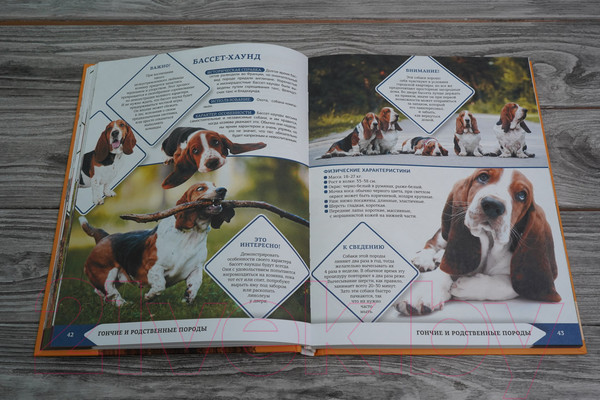 Изображение товара Энциклопедия АСТ Самая лучшая иллюстрированная энциклопедия. Собаки (Барановская И.)